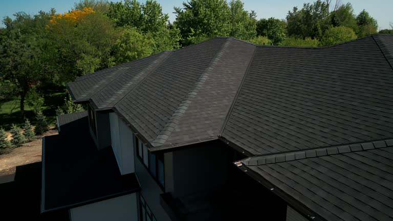 Best Skylight Installation and Repair  in Lumber City, GA