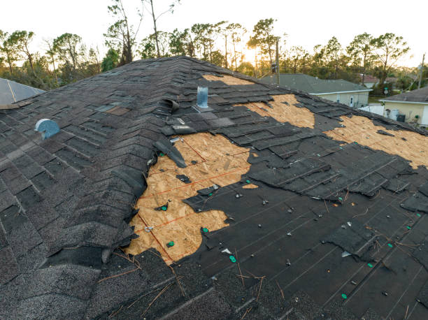 Best Sheet Metal Roofing  in Lumber City, GA