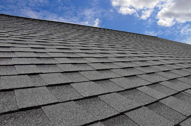 Best Roof Maintenance and Cleaning  in Lumber City, GA